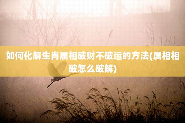 如何化解生肖属相破财不破运的方法(属相相破怎么破解)