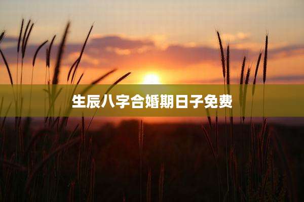 生辰八字合婚期日子免费