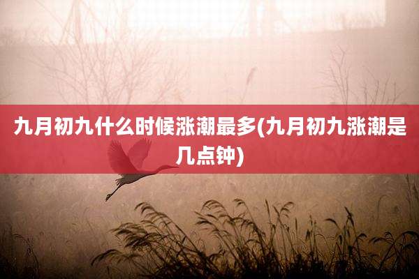 九月初九什么时候涨潮最多(九月初九涨潮是几点钟)