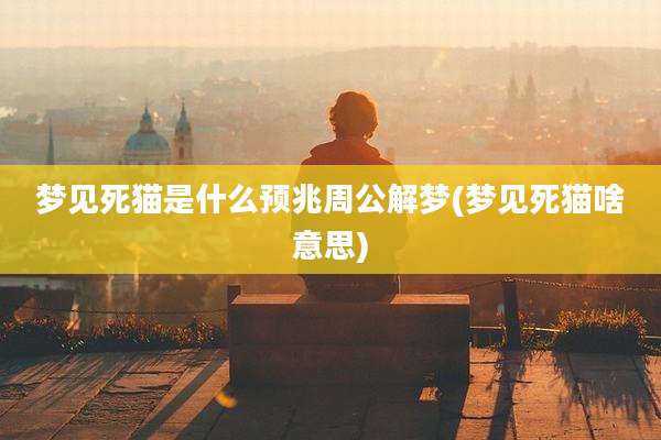 梦见死猫是什么预兆周公解梦(梦见死猫啥意思)