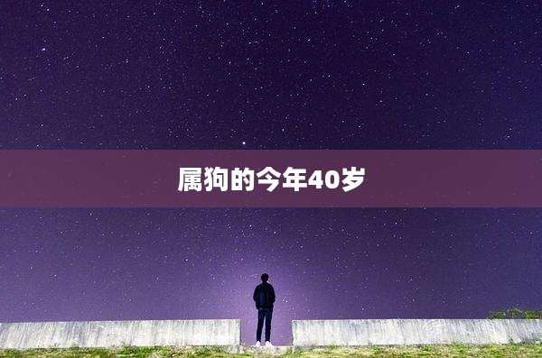 属狗的今年40岁