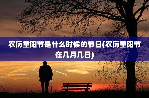 农历重阳节是什么时候的节日(农历重阳节在几月几日)
