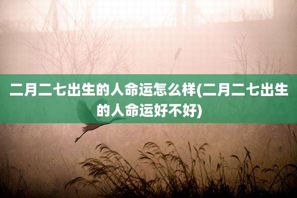 二月二七出生的人命运怎么样(二月二七出生的人命运好不好)