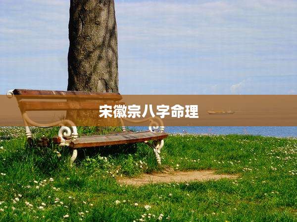 宋徽宗八字命理