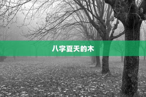 八字夏天的木