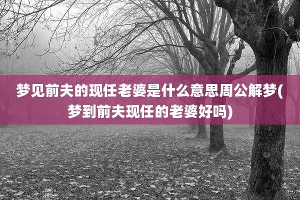 梦见前夫的现任老婆是什么意思周公解梦(梦到前夫现任的老婆好吗)