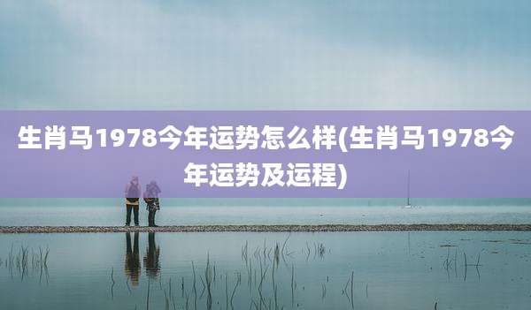 生肖马1978今年运势怎么样(生肖马1978今年运势及运程)