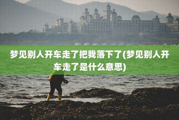 梦见别人开车走了把我落下了(梦见别人开车走了是什么意思)