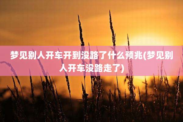 梦见别人开车开到没路了什么预兆(梦见别人开车没路走了)