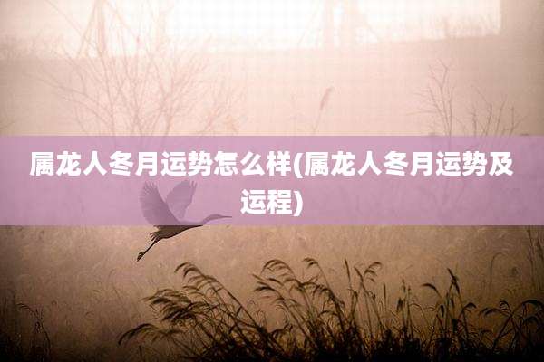 属龙人冬月运势怎么样(属龙人冬月运势及运程)