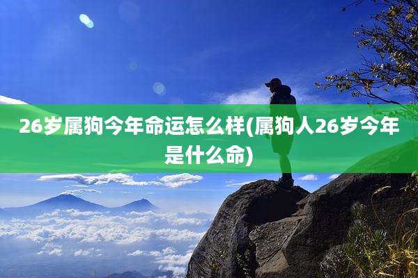26岁属狗今年命运怎么样(属狗人26岁今年是什么命)
