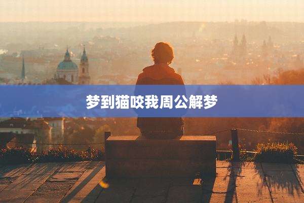 梦到猫咬我周公解梦