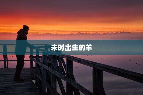 未时出生的羊
