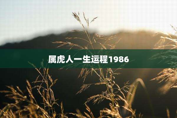 属虎人一生运程1986