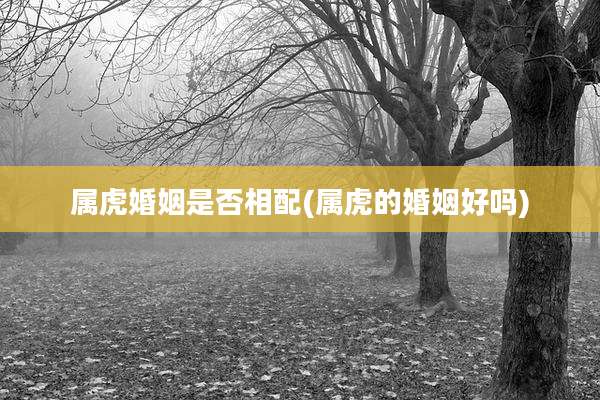 属虎婚姻是否相配(属虎的婚姻好吗)