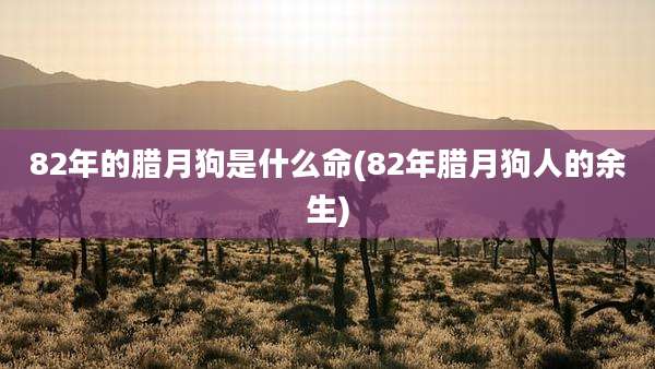 82年的腊月狗是什么命(82年腊月狗人的余生)