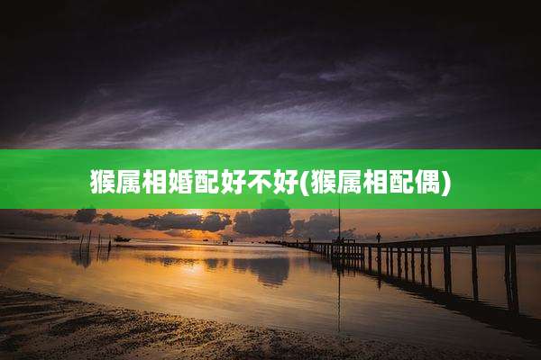 猴属相婚配好不好(猴属相配偶)