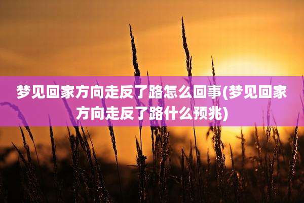 梦见回家方向走反了路怎么回事(梦见回家方向走反了路什么预兆)