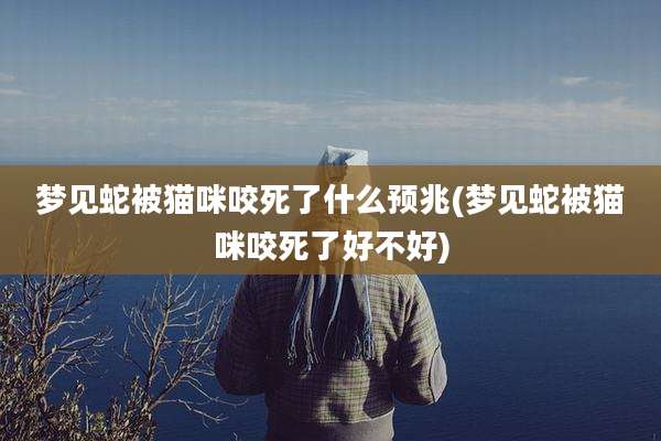 梦见蛇被猫咪咬死了什么预兆(梦见蛇被猫咪咬死了好不好)