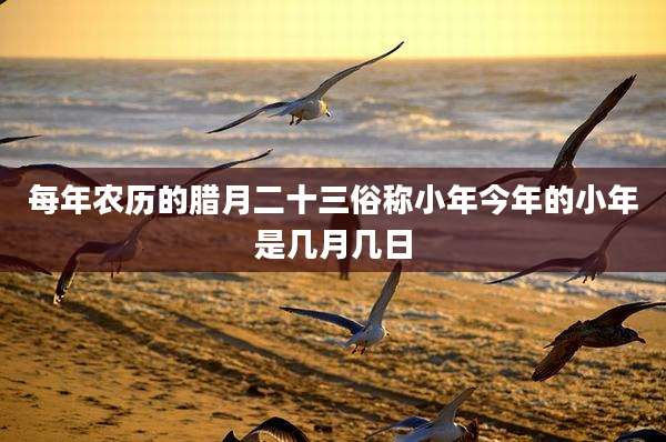 每年农历的腊月二十三俗称小年今年的小年是几月几日