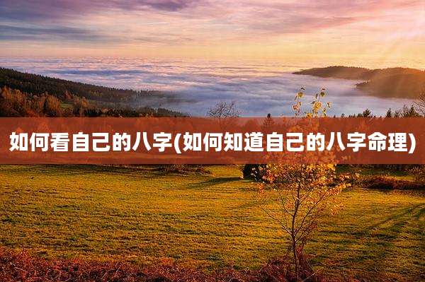 如何看自己的八字(如何知道自己的八字命理)