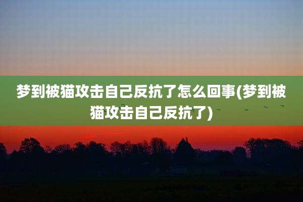 梦到被猫攻击自己反抗了怎么回事(梦到被猫攻击自己反抗了)