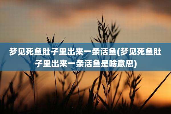 梦见死鱼肚子里出来一条活鱼(梦见死鱼肚子里出来一条活鱼是啥意思)
