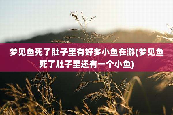 梦见鱼死了肚子里有好多小鱼在游(梦见鱼死了肚子里还有一个小鱼)