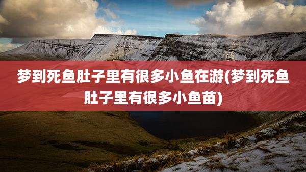 梦到死鱼肚子里有很多小鱼在游(梦到死鱼肚子里有很多小鱼苗)
