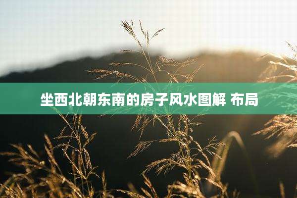 坐西北朝东南的房子风水图解 布局