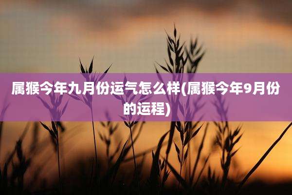 属猴今年九月份运气怎么样(属猴今年9月份的运程)