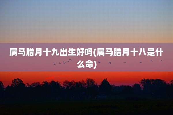 属马腊月十九出生好吗(属马腊月十八是什么命)