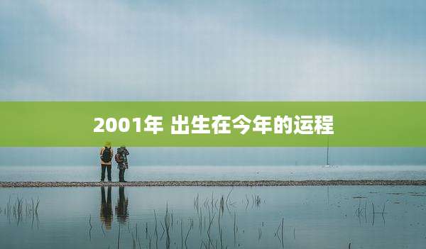 2001年 出生在今年的运程