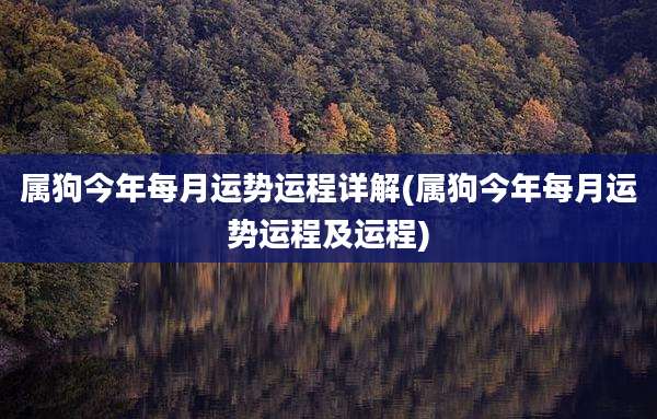 属狗今年每月运势运程详解(属狗今年每月运势运程及运程)