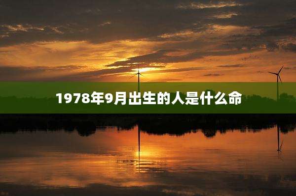 1978年9月出生的人是什么命