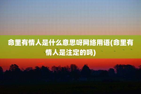 命里有情人是什么意思呀网络用语(命里有情人是注定的吗)