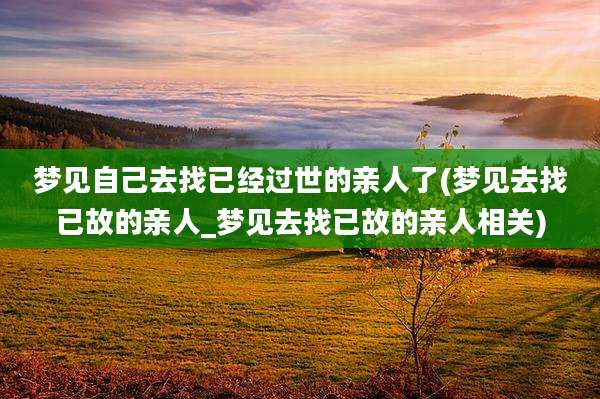 梦见自己去找已经过世的亲人了(梦见去找已故的亲人_梦见去找已故的亲人相关)
