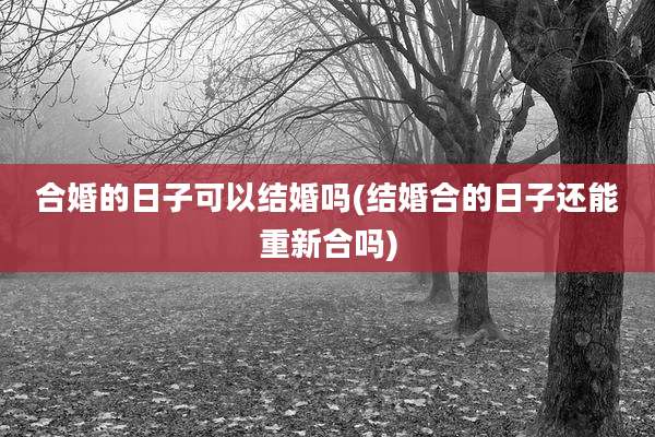 合婚的日子可以结婚吗(结婚合的日子还能重新合吗)