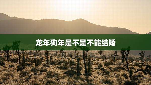 龙年狗年是不是不能结婚