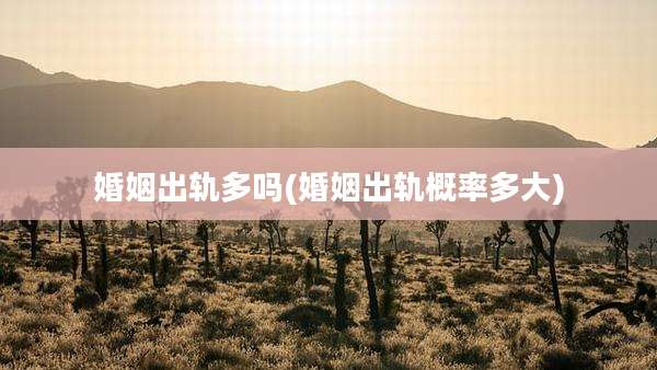 婚姻出轨多吗(婚姻出轨概率多大)
