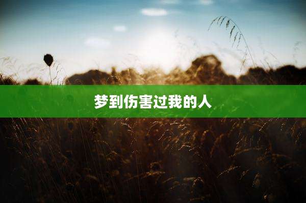 梦到伤害过我的人