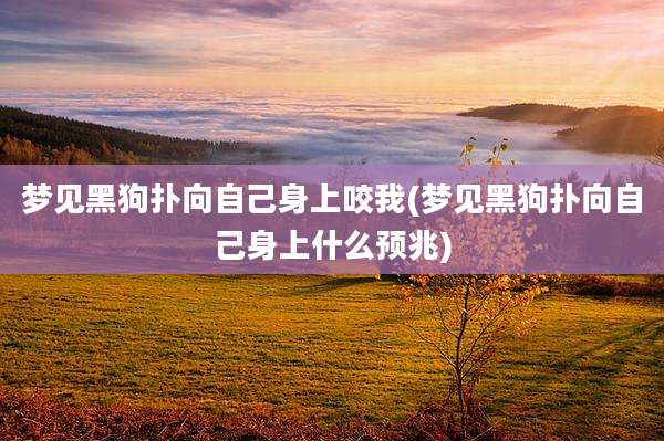 梦见黑狗扑向自己身上咬我(梦见黑狗扑向自己身上什么预兆)