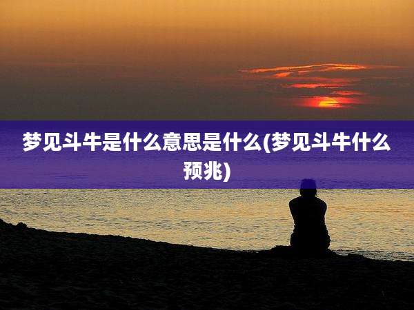 梦见斗牛是什么意思是什么(梦见斗牛什么预兆)