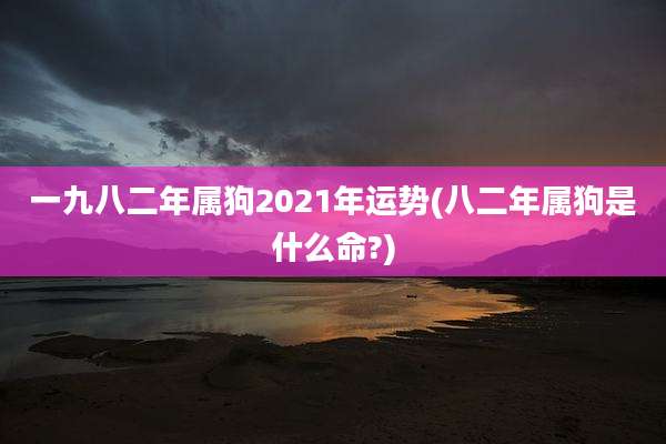 一九八二年属狗2021年运势(八二年属狗是什么命?)