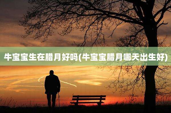 牛宝宝生在腊月好吗(牛宝宝腊月哪天出生好)