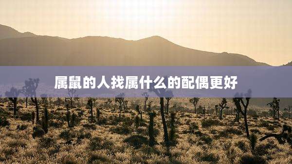 属鼠的人找属什么的配偶更好