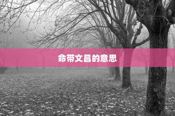命带文昌的意思