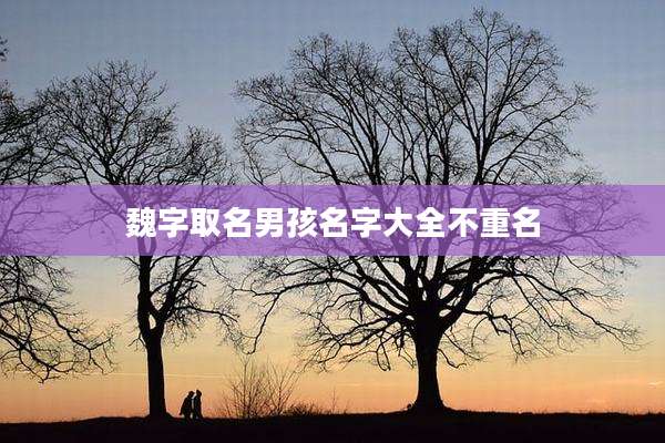 魏字取名男孩名字大全不重名