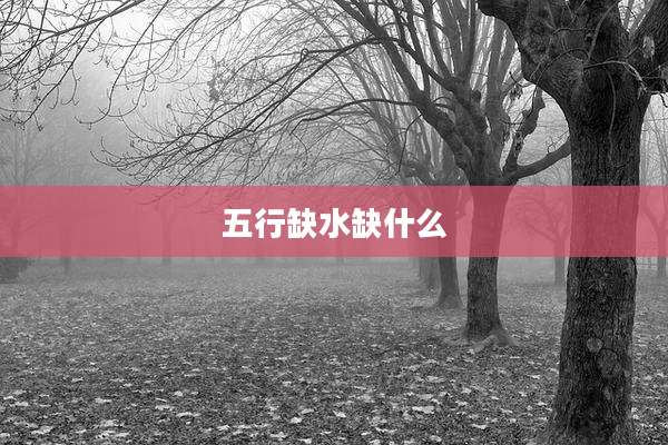 五行缺水缺什么