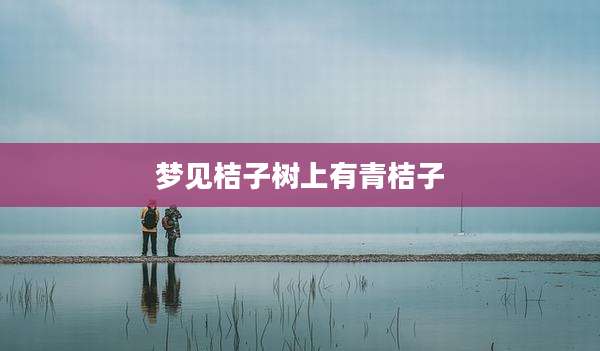 梦见桔子树上有青桔子